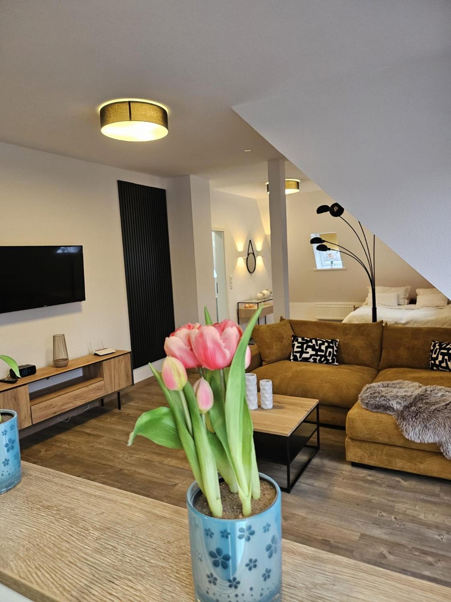 Pro Mara Apartment *